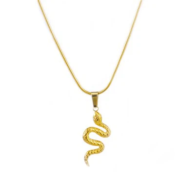 Ogrlica sa privjeskom sa zmijom